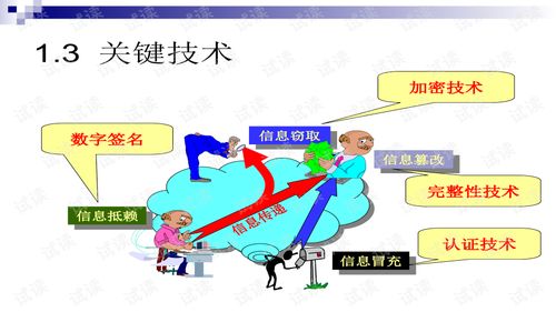 網(wǎng)絡(luò)攻防技術(shù)與計(jì)算機(jī)軟件技術(shù)服務(wù) 數(shù)字時代的安全屏障